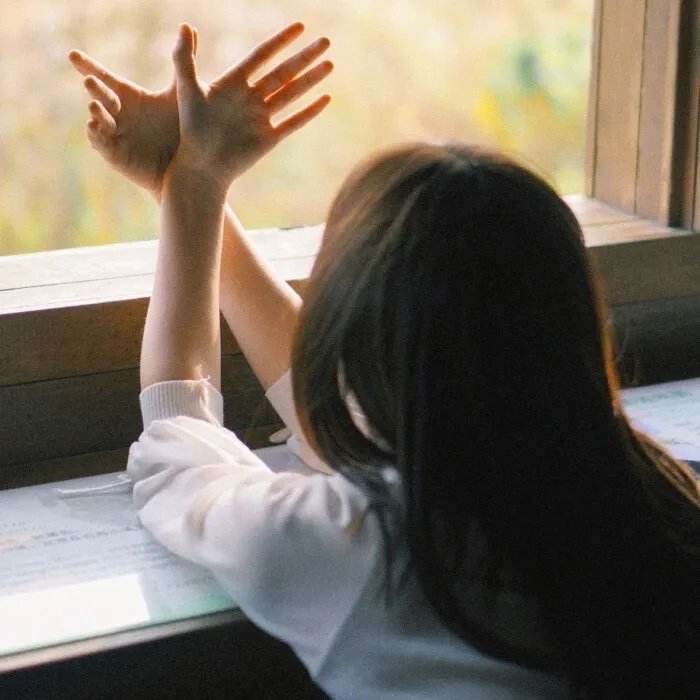 我有一拳定山河